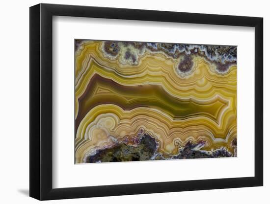 Banded Agate, Sammamish, Washington State-Darrell Gulin-Framed Photographic Print