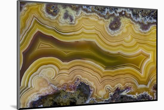 Banded Agate, Sammamish, Washington State-Darrell Gulin-Mounted Photographic Print