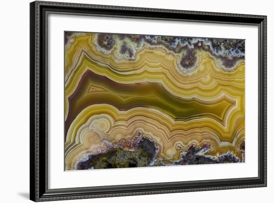 Banded Agate, Sammamish, Washington State-Darrell Gulin-Framed Photographic Print