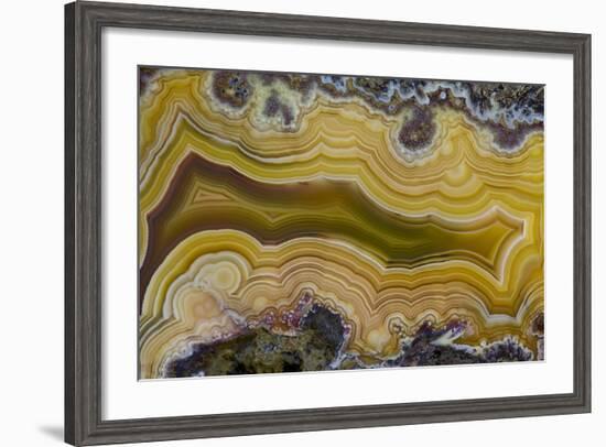 Banded Agate, Sammamish, Washington State-Darrell Gulin-Framed Photographic Print