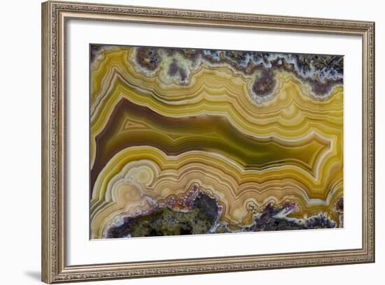 Banded Agate, Sammamish, Washington State-Darrell Gulin-Framed Photographic Print