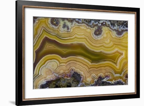 Banded Agate, Sammamish, Washington State-Darrell Gulin-Framed Photographic Print