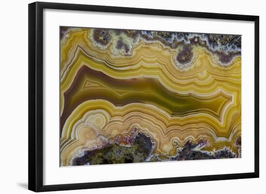 Banded Agate, Sammamish, Washington State-Darrell Gulin-Framed Photographic Print