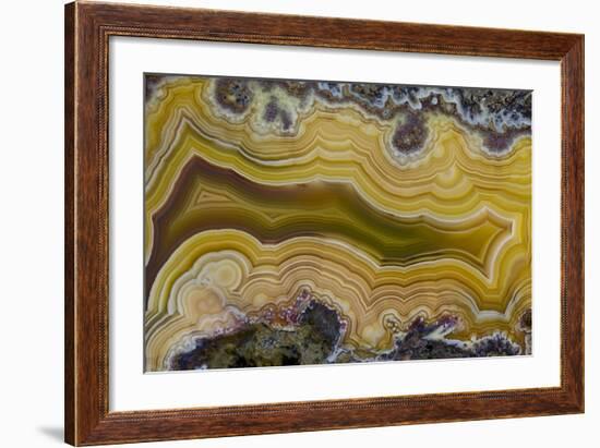 Banded Agate, Sammamish, Washington State-Darrell Gulin-Framed Photographic Print