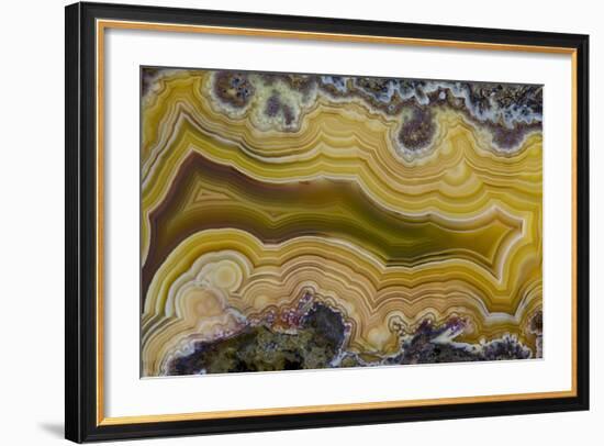 Banded Agate, Sammamish, Washington State-Darrell Gulin-Framed Photographic Print