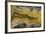 Banded Agate, Sammamish, Washington State-Darrell Gulin-Framed Photographic Print