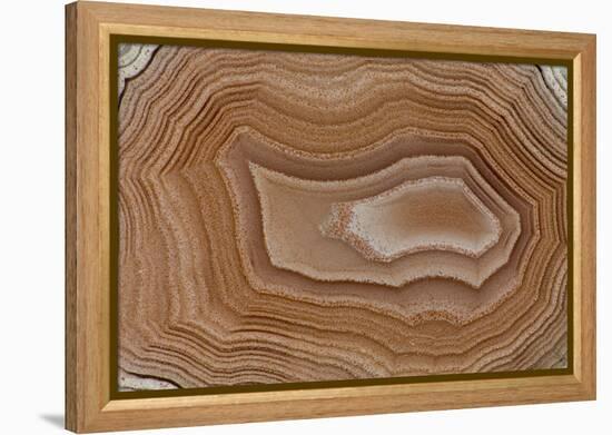 Banded Agate, Sammamish, Washington State-Darrell Gulin-Framed Premier Image Canvas