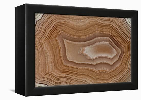 Banded Agate, Sammamish, Washington State-Darrell Gulin-Framed Premier Image Canvas