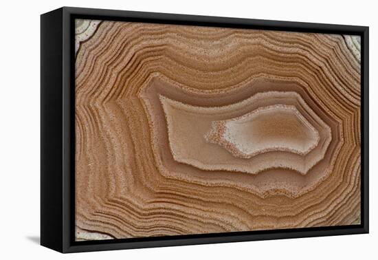 Banded Agate, Sammamish, Washington State-Darrell Gulin-Framed Premier Image Canvas