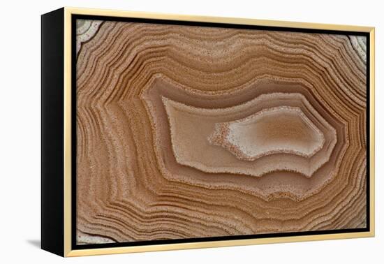 Banded Agate, Sammamish, Washington State-Darrell Gulin-Framed Premier Image Canvas