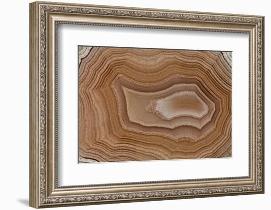 Banded Agate, Sammamish, Washington State-Darrell Gulin-Framed Photographic Print