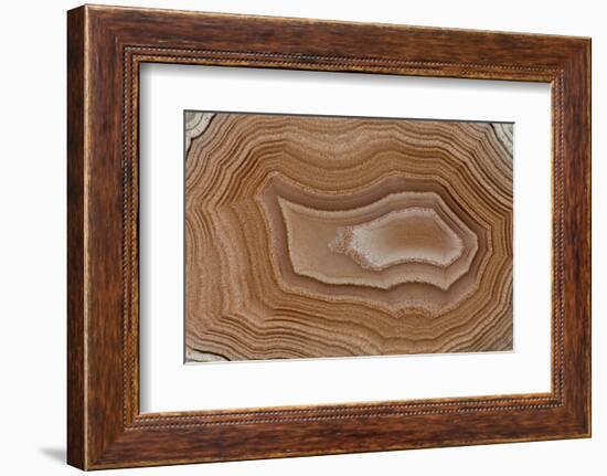 Banded Agate, Sammamish, Washington State-Darrell Gulin-Framed Photographic Print