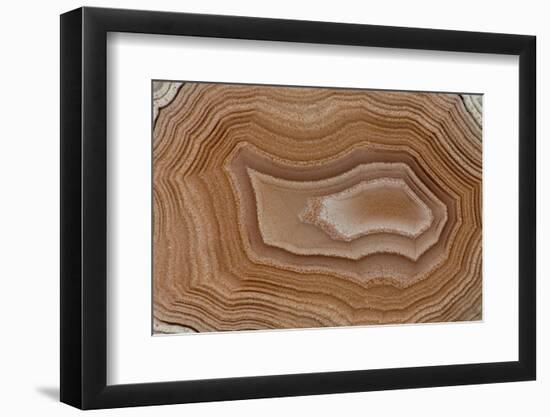 Banded Agate, Sammamish, Washington State-Darrell Gulin-Framed Photographic Print