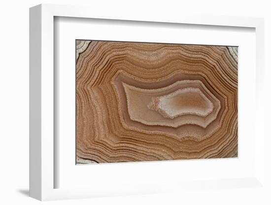 Banded Agate, Sammamish, Washington State-Darrell Gulin-Framed Photographic Print