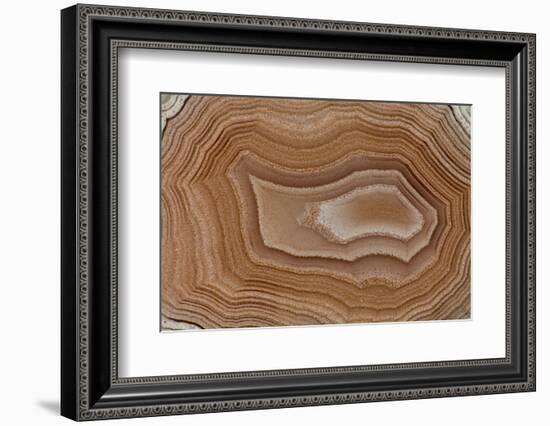 Banded Agate, Sammamish, Washington State-Darrell Gulin-Framed Photographic Print