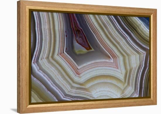 Banded Agate, Sammamish, Washington-Darrell Gulin-Framed Premier Image Canvas