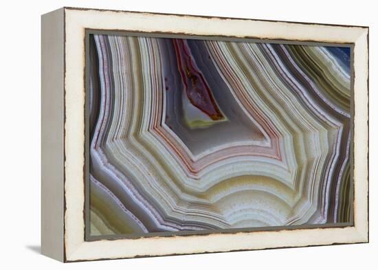 Banded Agate, Sammamish, Washington-Darrell Gulin-Framed Premier Image Canvas