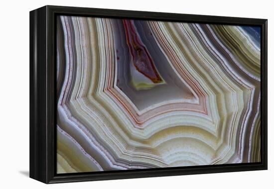 Banded Agate, Sammamish, Washington-Darrell Gulin-Framed Premier Image Canvas