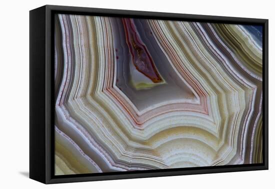 Banded Agate, Sammamish, Washington-Darrell Gulin-Framed Premier Image Canvas