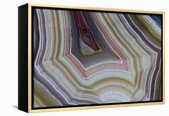 Banded Agate, Sammamish, Washington-Darrell Gulin-Framed Premier Image Canvas