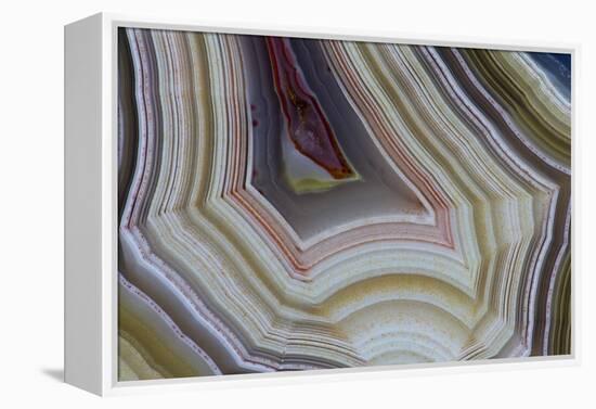 Banded Agate, Sammamish, Washington-Darrell Gulin-Framed Premier Image Canvas