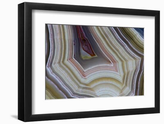 Banded Agate, Sammamish, Washington-Darrell Gulin-Framed Photographic Print