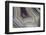 Banded Agate, Sammamish, Washington-Darrell Gulin-Framed Photographic Print