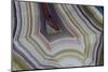 Banded Agate, Sammamish, Washington-Darrell Gulin-Mounted Photographic Print