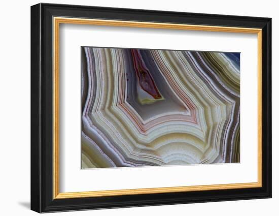 Banded Agate, Sammamish, Washington-Darrell Gulin-Framed Photographic Print