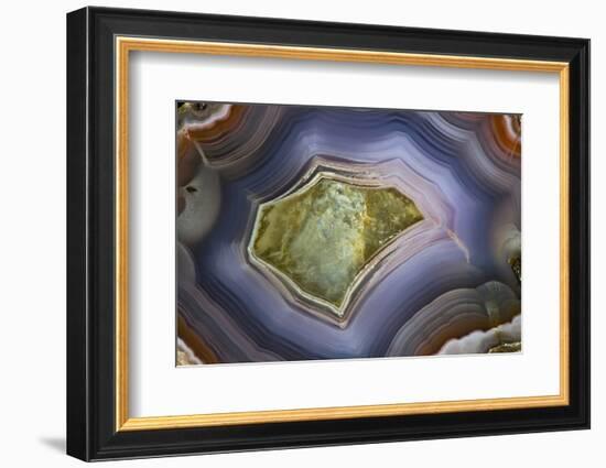 Banded Agate, Sammamish, Washington-Darrell Gulin-Framed Photographic Print