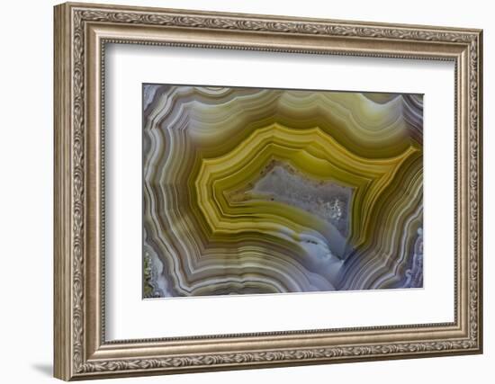 Banded Agate, Sammamish, Washington-Darrell Gulin-Framed Photographic Print