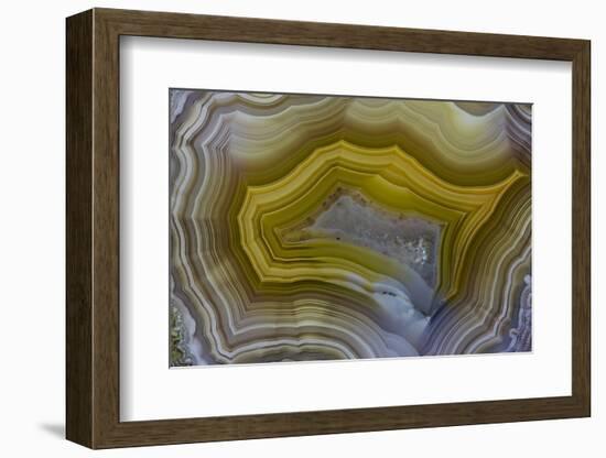 Banded Agate, Sammamish, Washington-Darrell Gulin-Framed Photographic Print