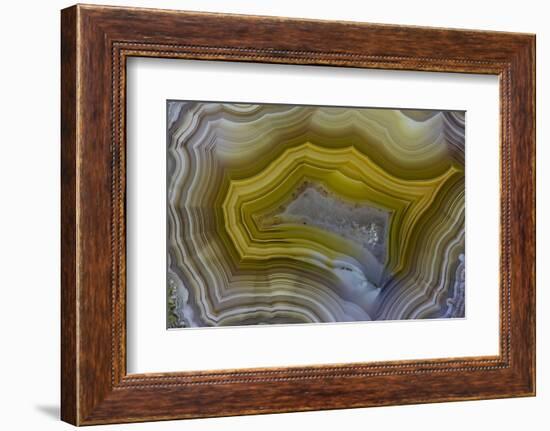 Banded Agate, Sammamish, Washington-Darrell Gulin-Framed Photographic Print