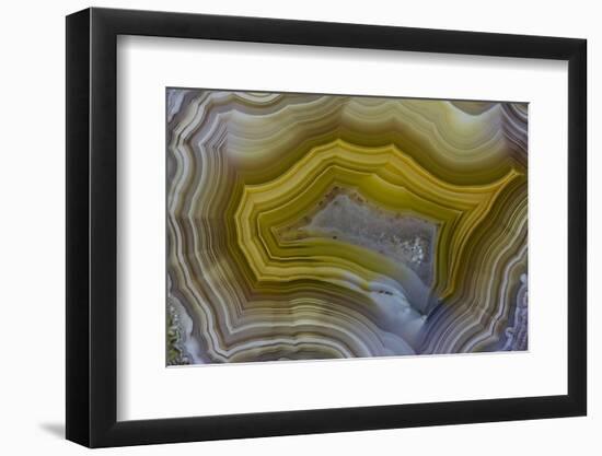 Banded Agate, Sammamish, Washington-Darrell Gulin-Framed Photographic Print