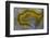 Banded Agate, Sammamish, Washington-Darrell Gulin-Framed Photographic Print