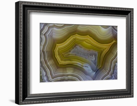 Banded Agate, Sammamish, Washington-Darrell Gulin-Framed Photographic Print