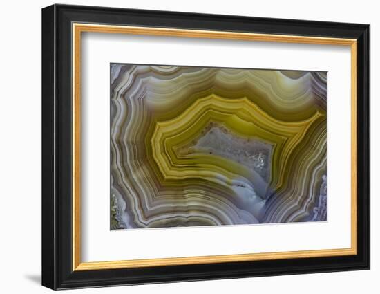 Banded Agate, Sammamish, Washington-Darrell Gulin-Framed Photographic Print