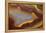 Banded Agate, Sammamish, Washington-Darrell Gulin-Framed Premier Image Canvas