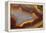 Banded Agate, Sammamish, Washington-Darrell Gulin-Framed Premier Image Canvas