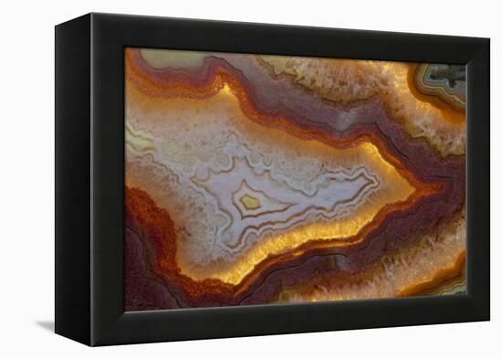 Banded Agate, Sammamish, Washington-Darrell Gulin-Framed Premier Image Canvas