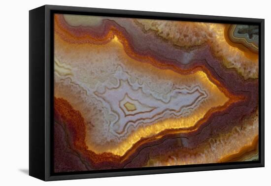 Banded Agate, Sammamish, Washington-Darrell Gulin-Framed Premier Image Canvas