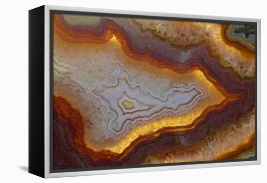 Banded Agate, Sammamish, Washington-Darrell Gulin-Framed Premier Image Canvas