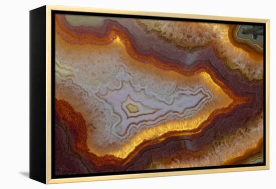 Banded Agate, Sammamish, Washington-Darrell Gulin-Framed Premier Image Canvas