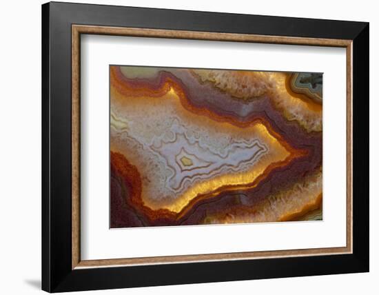 Banded Agate, Sammamish, Washington-Darrell Gulin-Framed Photographic Print