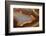 Banded Agate, Sammamish, Washington-Darrell Gulin-Framed Photographic Print