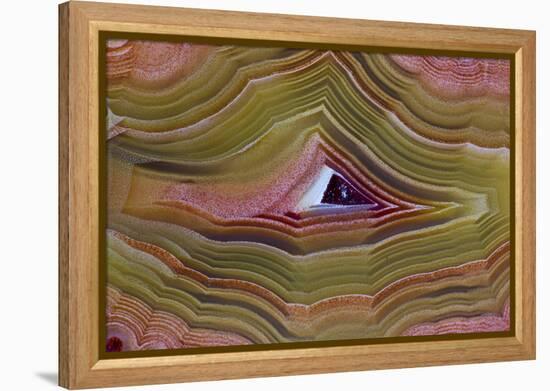 Banded Agate, Sammamish, Washington-Darrell Gulin-Framed Premier Image Canvas