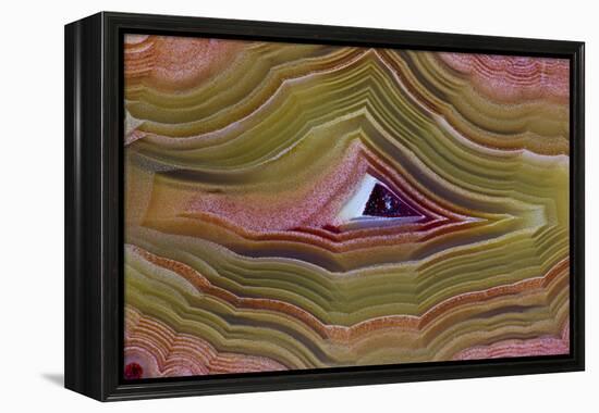 Banded Agate, Sammamish, Washington-Darrell Gulin-Framed Premier Image Canvas