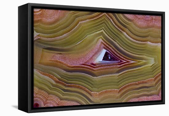 Banded Agate, Sammamish, Washington-Darrell Gulin-Framed Premier Image Canvas