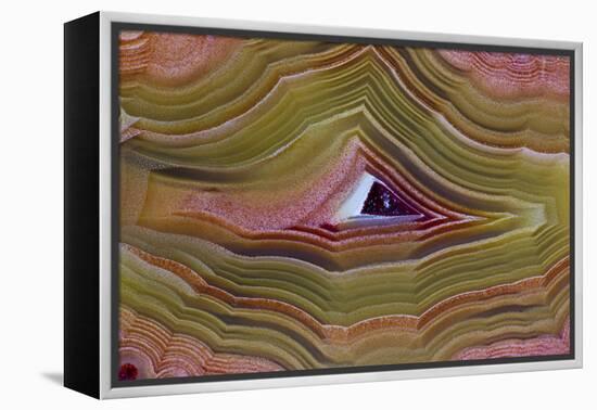 Banded Agate, Sammamish, Washington-Darrell Gulin-Framed Premier Image Canvas