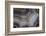 Banded Agate, Sammamish, Washington-Darrell Gulin-Framed Photographic Print